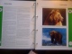 Delcampe - WWF. 1986 - 1988  NUMBER II OMNIBUS IN ALBUM +CASETTE  STAMPS  MNH**  +  FDC   See Photo´s  (dutch Language) - Collections, Lots & Séries