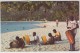 Antilles - Grenada - Local Musicians Entertain Visitors At Grand Anse Beach - Grenada