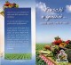 # COURGETTE FLOWERS AGRIBOLOG Tag Balise Etiqueta Anhänger Cartellino Fiori Zucca Calabacìn Vegetables Gemüse Legumes - Fruits & Vegetables