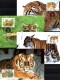 Naturschutz 1993 Tiger WWF-Set 154 Rußland 343/6 4x MC 8€ Dokumentation Groß-Katze Wild-life Fauna Tigre Cards Of RUSSIA - FDC