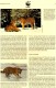 Naturschutz 1993 Tiger WWF-Set 154 Rußland 343/6 4x MC 8€ Dokumentation Groß-Katze Wild-life Fauna Tigre Cards Of RUSSIA - FDC