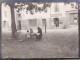 Photo Octobre 1931 CASTELLANE - Une Place, Une Bourrellerie, Bourrelier (A152) - Castellane