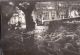 Photo Octobre 1931 DIGNE-LES-BAINS - Le Marché Aux Moutons (A152) - Digne
