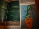 Delcampe - 1954 SCIENCE Et VIE --->SOMMAIRE En  2e Photo  Et:  ISRAËL ; Extraordinaire ESCARGOT; Pour Ne Pas Vieillir..etc - Science