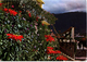 Spain Flora Canaria Valle De La Orotava To England 1974 - Other & Unclassified