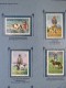 Romania 1982 Dogs - Mint Set On Panel - Scott 3060/3067 = 5 $ - Unused Stamps