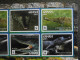 Ghana 2016 - WWF Slender-Snouted Crocodile - Complete Sheet 16 Stamps - Autres & Non Classés