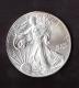 UNITED STATES OF AMERICA - FINE SILVER - ONE DOLLAR - ANNO 2013 - LIBERTY - IN GOD WE TRUST - SILVER - ARGENTO - - Autres – Amérique