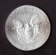 UNITED STATES OF AMERICA - FINE SILVER - ONE DOLLAR - ANNO 2013 - LIBERTY - IN GOD WE TRUST - SILVER - ARGENTO - - Autres – Amérique