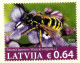 Latvia Lettland - England - UK2015 Postcard - Flowers And - Wasp -  Insect- Honey Eater MNH - Bienen