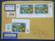 United Nations 1991 Insured Cover To USA - Animals, Birds Falcon, Stork (Scott 587a 3x 4.50 = 13.50 $) - Storia Postale