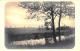 [DC3090] CPA - FIUME ALBERO - Viaggiata - Old Postcard - Altri & Non Classificati