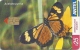 Uruguay - Antel - Actinote Pyrrha Butterfly - TC 291a - 08.2003, 200.000ex, Used - Uruguay