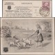 Autriche-Hongrie 1910. Entier Postal Timbré Sur Commande.  Maison D'exportation De Jambons, Prague. Jeune Fille, Cochon - Agriculture
