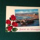 Cartolina Saluti Da Viareggio Peschereccio Rose  Viaggiata 1977 - Viareggio