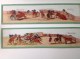 CORRIDA De Toros, Espana, Courses Et Combats De Taureaux - 8 Plaques De Verre Pour Lanterne Magique - Autres & Non Classés