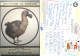 The Dodo, Extinction Is Forever, Jersey Postcard Posted 1994 Stamp - Other & Unclassified