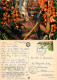 Native Man, Dum Dum Palm Tree Fruits, Kenya Postcard Posted 1985 Stamp - Kenya
