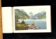 Delcampe - Album Von Vierwaldstaettersee Souvenir Du Lac Des Quatre Cantons Luzern Weggie Vitznau Rigi Beckenried Gersau Treib ... - Schweiz
