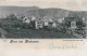 GRUSS AUS NEUHAUSEN &#8594; Dorfansicht Von Den Rebbergen Her 1903 - Neuhausen Am Rheinfall