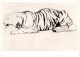 Painting By Vasily Vatagin - Tiger - Russian Art - 1978 - Russia USSR - Unused - Paintings