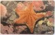 ISLE OF MAN - Red Cushion Starfish, Tirage 20000, Used - Isle Of Man