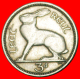 § HARE: IRELAND &#9733; 3 PENCE 1956! LOW START &#9733; NO RESERVE! - Irlande