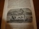 Delcampe - 1847 MP : Le Mont Athos; Antomologie (le Cousin);Légendes Bibliques Des Musulmans; Rio De Janeiro ; Etc - 1800 - 1849