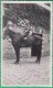 Homme - Photo Originale - Un Homme Sur Un Cheval (hipisme) - Format 11.2 X 6.8 Cm - Personnes Anonymes