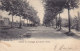 Visé - Avenue De L'ermitage De Lorette (animée, Précurseur, 1901) - Wezet