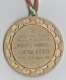 Médaille De Sport : Federazione Italiana Hockey - Autres & Non Classés