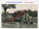 ZANDVOORDE-Cadavres-Chevaux-2x CARTES PHOTOS Allemandes-Guerre 14-18-1 WK-BELGIEN-FLANDERN- - Zonnebeke