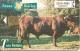 CARTE-PUCE-ESPAGNE-2000-TOROS-COMBAT-TBE - Cows