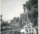 50s REAL PHOTO FOTO POSTCARD MOINHO WATER MILL MOULIN RIO VOUGA SAO PEDRO SUL VISEU PORTUGAL CARTE POSTALE - Viseu