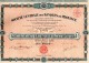 Action De 125 Francs Sté  Centrale Des Banques De Province- 1928 - 29 Coupons -N° 060755 - Banque & Assurance