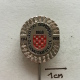 Badge (Pin) ZN002344 - Military (Army) War Croatia (Hrvatska) 1991 - Militaria