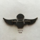 Badge (Pin) ZN002365 - Military (Army) Police Insignia Parachuting (Fallschirmspringen) Angola - Armee