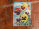 3D Postcards   Flowers Pansy - Fiori