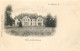 45 - CHATILLON COLIGNY - Chateau Des Bézards - Carte 1900 - Chatillon Coligny