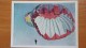 SPORT.  Parachutting. OLD SOVIET Postcard 1964 - Parachutting