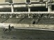 Londres London Olympia Horse Show Equitation Dressage Lieutenant Lavergne Needle Ancienne Photo 1938 - Sports