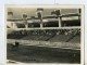 Londres London Olympia Horse Show Equitation Dressage Lieutenant Lavergne Needle Ancienne Photo 1938 - Sports