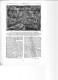 Delcampe - De 1914 - L'UTILISATION SCIENTIQUE DES CERFS-VOLANTS - 5 Pages - - Advertising