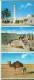 LIBYA VINTAGE 15 VIEWS BOOKLET - Libya