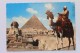 Tourist Guide On Camel Near The Great Sphinx / Grossen Sphinx / Grand Sphinx + Liban Stamps - Sphinx