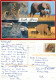 Wild Animals, South Africa Postcard Posted 2006 Stamp - South Africa