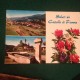 Cartolina Saluti Da Castello Di Fiemme Fiori Dolomiti Viaggiata  Trento - Trento