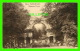 WIEN, AUTRICHE -VIENNE - SCHONBRUNN, ROMISCHE RUINE - HUPFERDRUCK-KUNSTLERKARTE , 1910 - - Autres & Non Classés