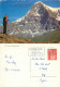 Alpenhorn, Kleine Scheidegg, BE Bern, Switzerland Postcard Posted 1967 Stamp - Berna