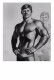 TOM OF FINLAND GAY INTEREST POSTCARD 44 -  SIZE: 15X10 CM. APROX. MINT - Cómics